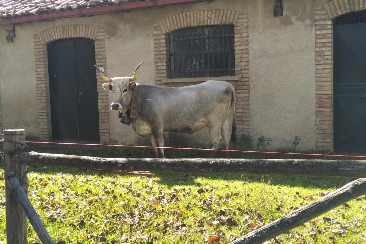Torre Camigliati Dimora Storica Hotel Camigliatello Silano Kültér fotó