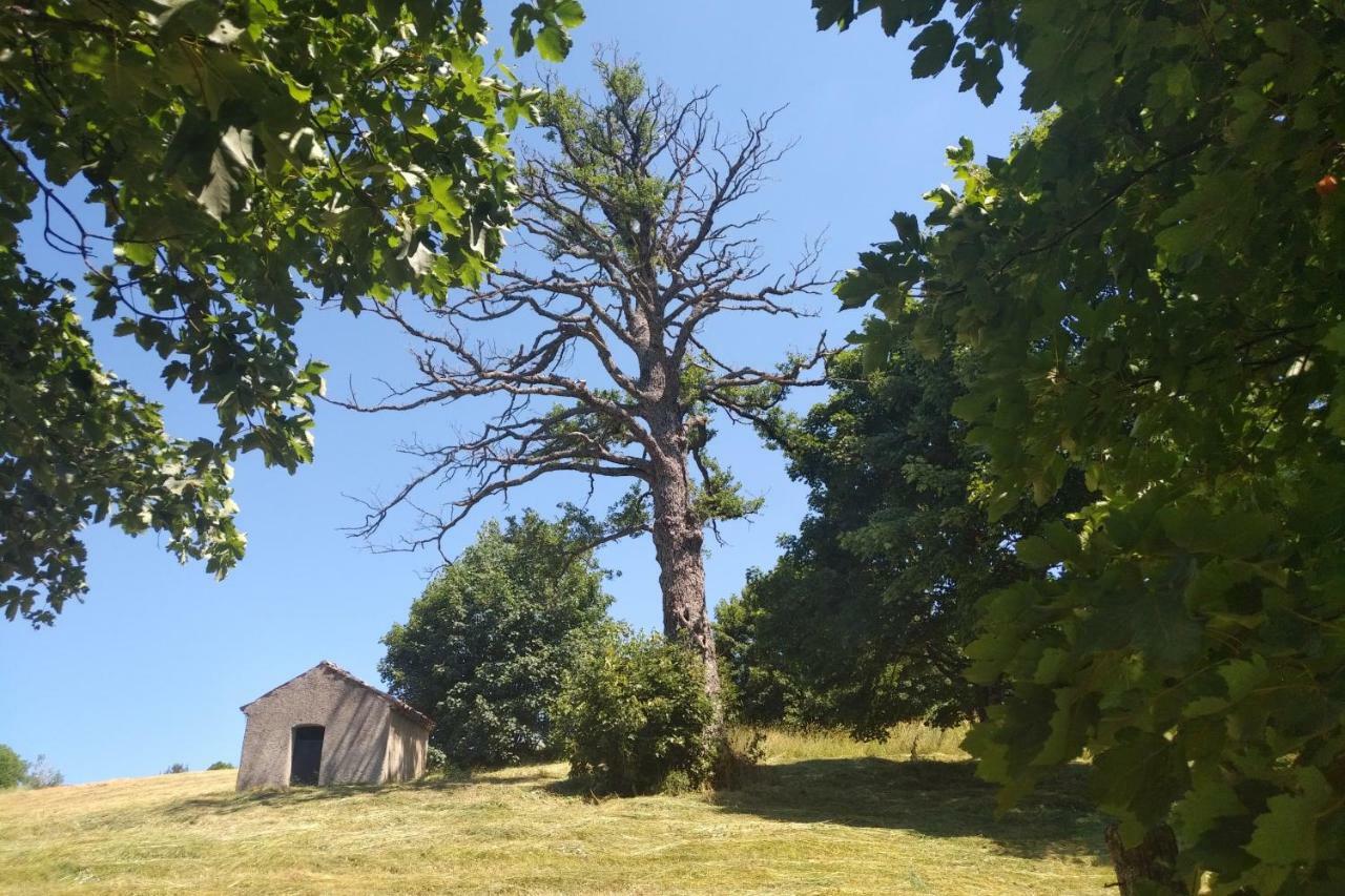 Torre Camigliati Dimora Storica Hotel Camigliatello Silano Kültér fotó